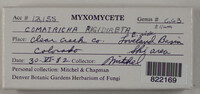 Image Associated With the Occurence
